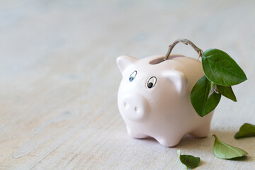 Pig piggy bank with withered plant. Loss of savings, bankruptcy and crisis concept 