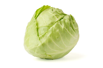 Fototapeta premium white cabbage isolated on white background. young fresh cabbage