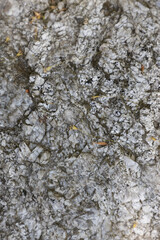 Rock texture