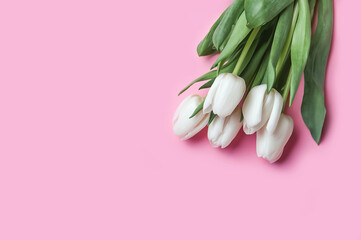 Spring background card white tulips in pastel pink background close-up. Fresh flowers for horizontal flower poster, wallpaper or postcard. Easter banner, greeting card. Copy space