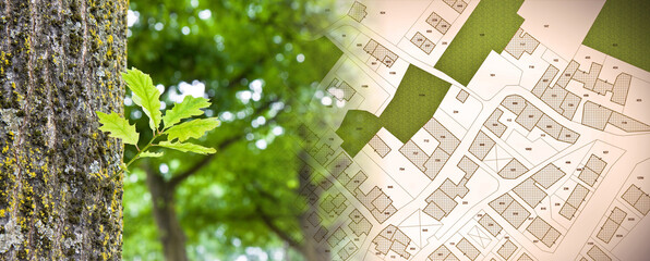 Nature and city - concept image with leaf of a tree in a public park and city map