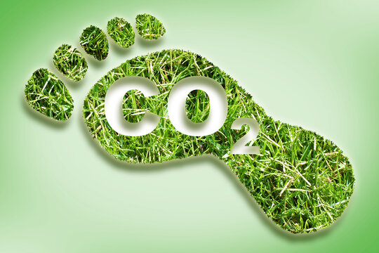 Carbon footprint concept image with CO2 text against footprint in grass shape - CO2 Neutral and ecological concept with foot symbol