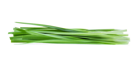 Garlic chives isolated on white background