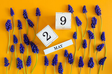 Calendar for May 29: cubes with the number 29, the name of the month of May in English, scattered...
