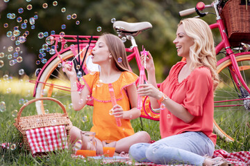 Family having picnic in summer park