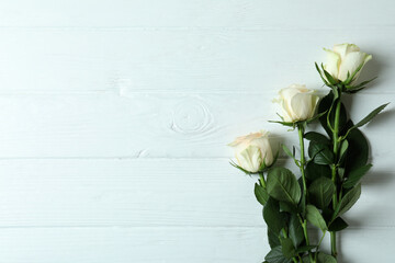 Beautiful roses on white wooden background, space for text