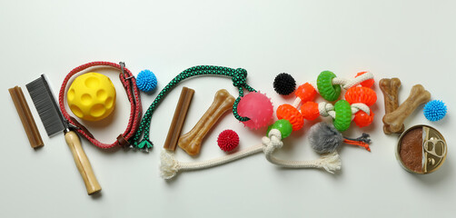 Pet accessories on white background, top view