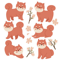 Set of shiba inu and flowers isolated on white background. Vector graphics.