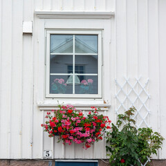 Fototapeta na wymiar Swedish Window Dressing