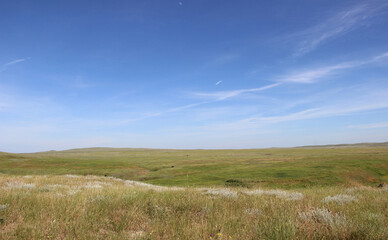 Empty spring field with flowers and hills