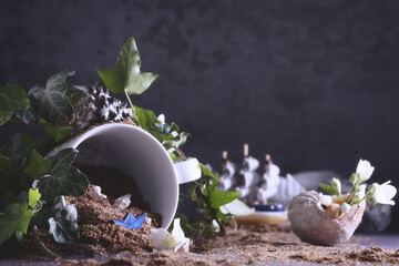 a wooden boat stands on the sand next to shells and plants