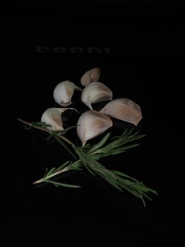 Still life of garlic and rosemary herb
