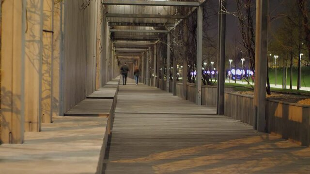 A young couple is walking in the evening park. Against the background of wood trim and the lights are shining