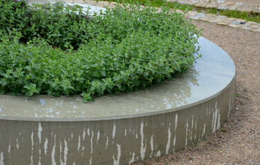 in the industrial park there are circular raised beds of concrete. there are benches and seats on...