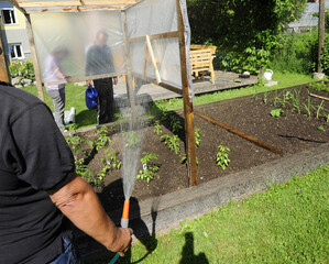 garden hose for watering plants