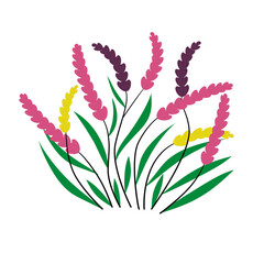 Colorful flowers  Decorate in the house