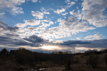 Obraz premium Evening spring blue sky with white clouds. Dark silhouettes of trees and shrubs. Evening landscape at sunset