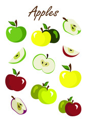 A collection of colorful apples on white background, apple slices, summer fruits, apple delight, healthy fresh food, childish illustration style 