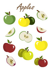 A collection of colorful apples on white background, apple slices, summer fruits, apple delight, healthy fresh food, childish illustration style  