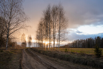 Spring sky with clouds over the forest. Evening landscape at sunset. The trees are flooded with warm sunlight. Clouds leaving after rain