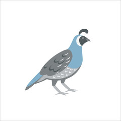 Fototapeta premium Cartoon quail on a white background.Flat cartoon illustration for kids.
