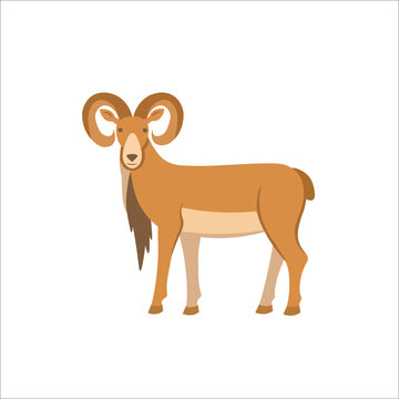 Cartoon urial on a white background.Flat cartoon illustration for kids.
