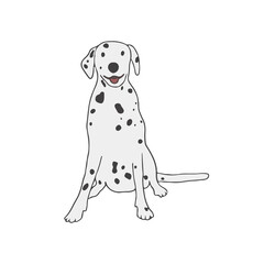 Dog of Damatine breed sitting on white background. Friendly purebred pet. Isolated colored flat vector illustration
