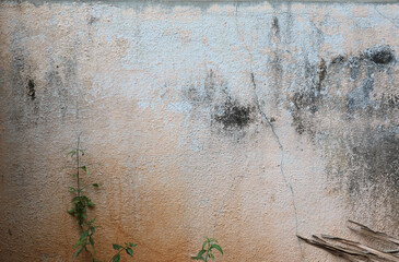 Dirty old painted wall background	
