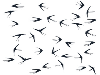 Flying swallow birds silhouettes vector illustration. Migratory martlets swarm isolated on white.
