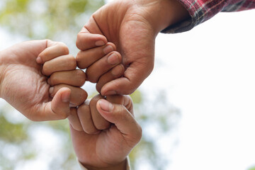 hands of trees growing seedlings.