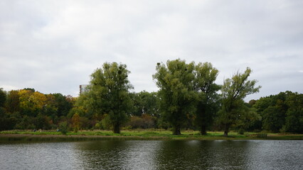 lake in the park