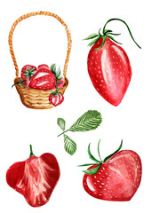 Strawberries whole elements, strawberries in a basket watercolor illustration. Template for decorating designs and illustrations.
