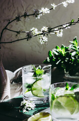 Refreshing mojito cocktail.