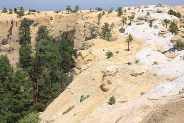 Fototapeta na wymiar Cliffs in El Morro National Monument, New Mexico, USA