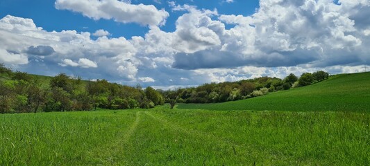 landscape with mountains