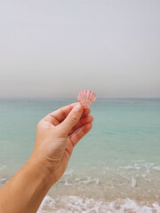 Hand holding seashell on the beach