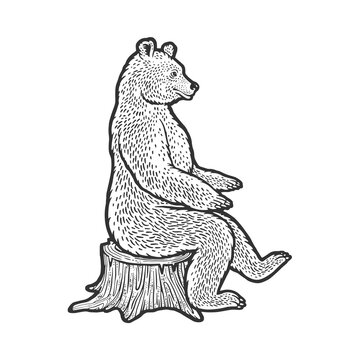 Bear sits on tree stump sketch engraving vector illustration. T-shirt apparel print design. Scratch board imitation. Black and white hand drawn image.