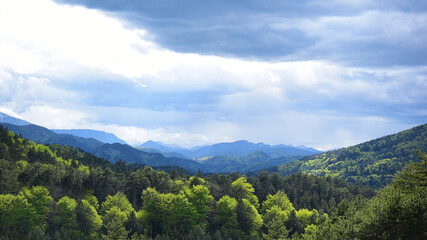 Berglandschaft im Frühling mit frisch grünen Bäumen an einem wolkigen Tag, Berge bis zum Horizont, graue Wolken, Panorama im Schneeberg Land	
