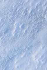 Obraz premium Fresh snow