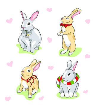 Set of rabbits. Two rabbits with, one is wearing scarf, another has a daisy in its mouth.