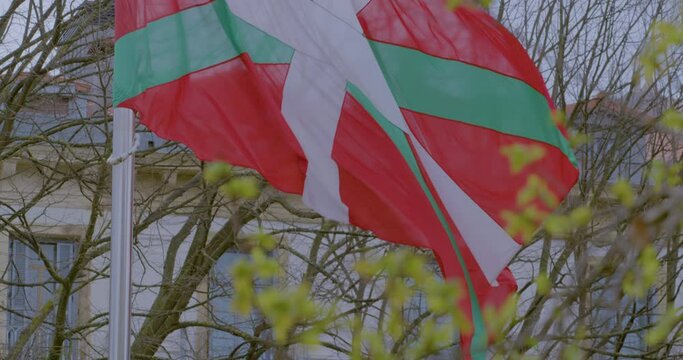 Flag of Basque wawing against light wind with government building in background