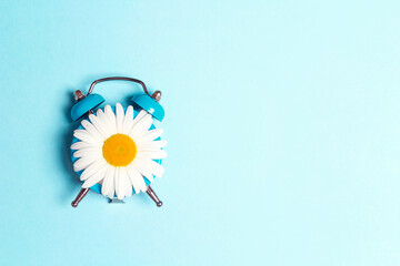 Blue alarm clock with chamomile flower on a blue background.