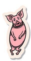 Hand drawn sticker style Hand drawing standing pig vector illustration