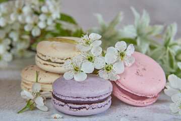Fototapeta na wymiar Several colorful macaroon cakes decorated with cherry blossoms on a gray background.