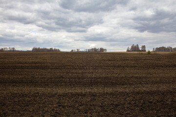 The field is ready for sowing. Field at the beginning of the agricultural season.