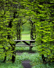 bench in the park