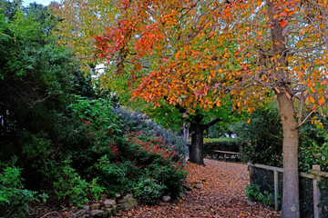 Naklejka premium sunset in a community garden 