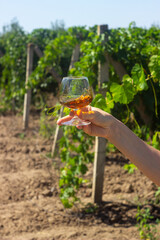 vineyard glass of cognac