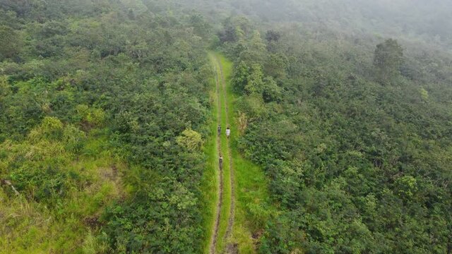 Aerial footage of drones of people walking in the middle of a dense forest