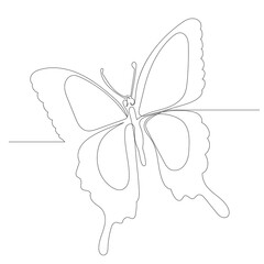 vector butterfly flies one continuous line